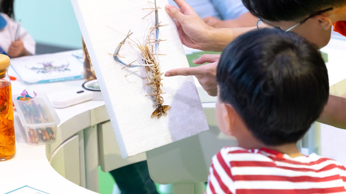 教育局招聘助理小學學位教師｜公務員職位起薪34K｜5個科目職位詳情一覽｜附教育證書修讀詳情