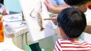 教育局招聘助理小學學位教師｜公務員職位起薪34K｜5個科目職位詳情一覽｜附教育證書修讀詳情
