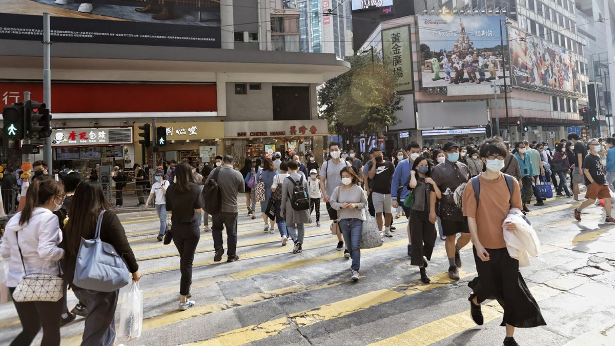 持續進修基金2023｜樹木管理員：月薪達4萬元｜8個兼讀課程