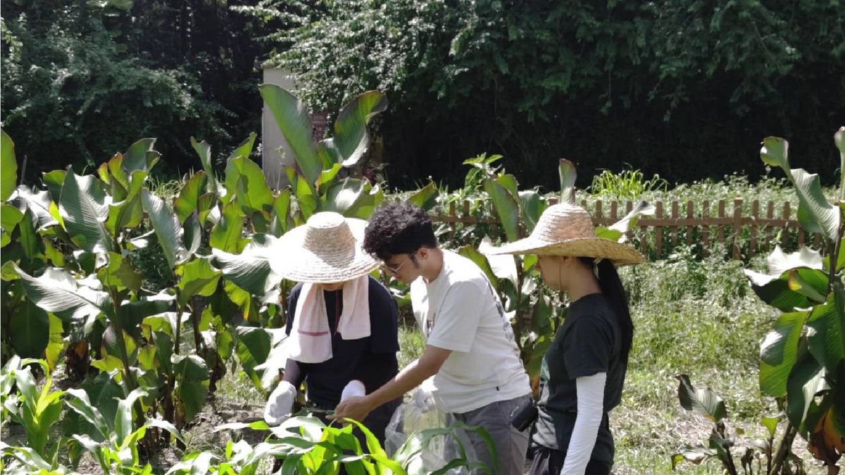 漁農自然護理署招聘｜合約農林督察月薪19K｜須持有相關學歷證明｜入職條件＋申請方法
