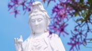 香港好去處｜慈山寺開放日｜3日免費參觀＋法會｜可網上登記供齋｜時間日期＋交通＋預約參觀教學