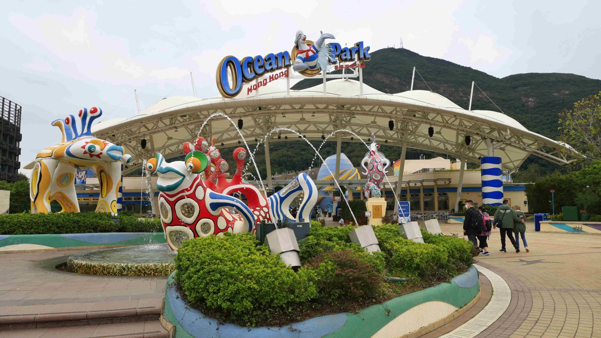 筍工招聘｜海洋公園及水上樂園｜8月至9月全職兼職招聘會：再入職或新人獎金6,000元！18個部門逾40類職位空缺一覽