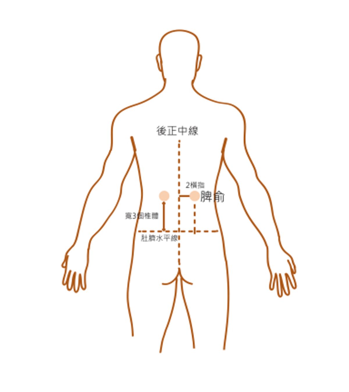 健康生活, 消化不良無胃口, 健康飲食, 中醫教按摩4個穴位, 中藥膳健脾開胃粥增食慾, 香港財經時報