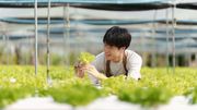 漁護署招聘公務員｜技工月薪18,965元：小六程度＋三年工作經驗｜申請方法