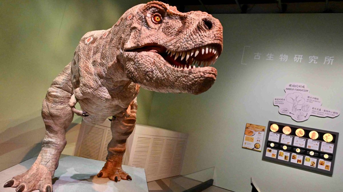 親子好去處, 香港科學館古生物展廳, 滅絕, 新生, 睇珍貴動植物及恐龍化石, 香港財經時報