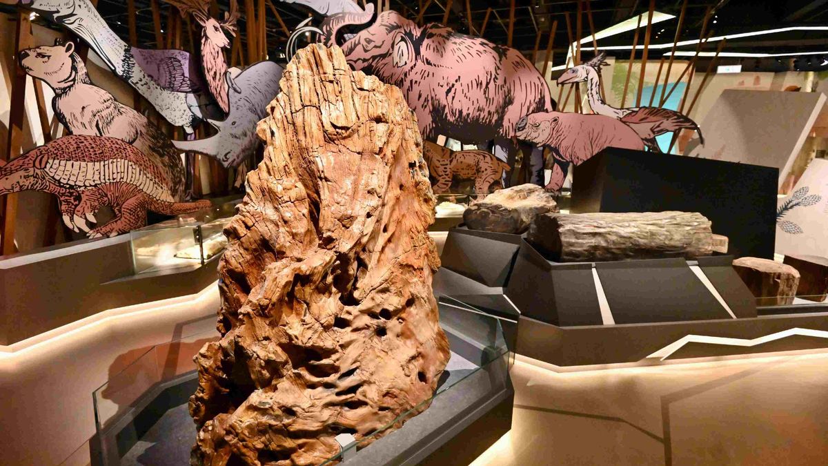 親子好去處, 香港科學館古生物展廳, 滅絕, 新生, 睇珍貴動植物及恐龍化石, 香港財經時報