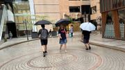 天文台颱風消息｜熱帶氣旋海葵存變數！香港明早或掛一號風球