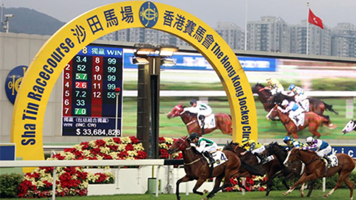 香港好去處｜新馬季週日沙田開鑼！入場贈月曆、設2,800萬多寶