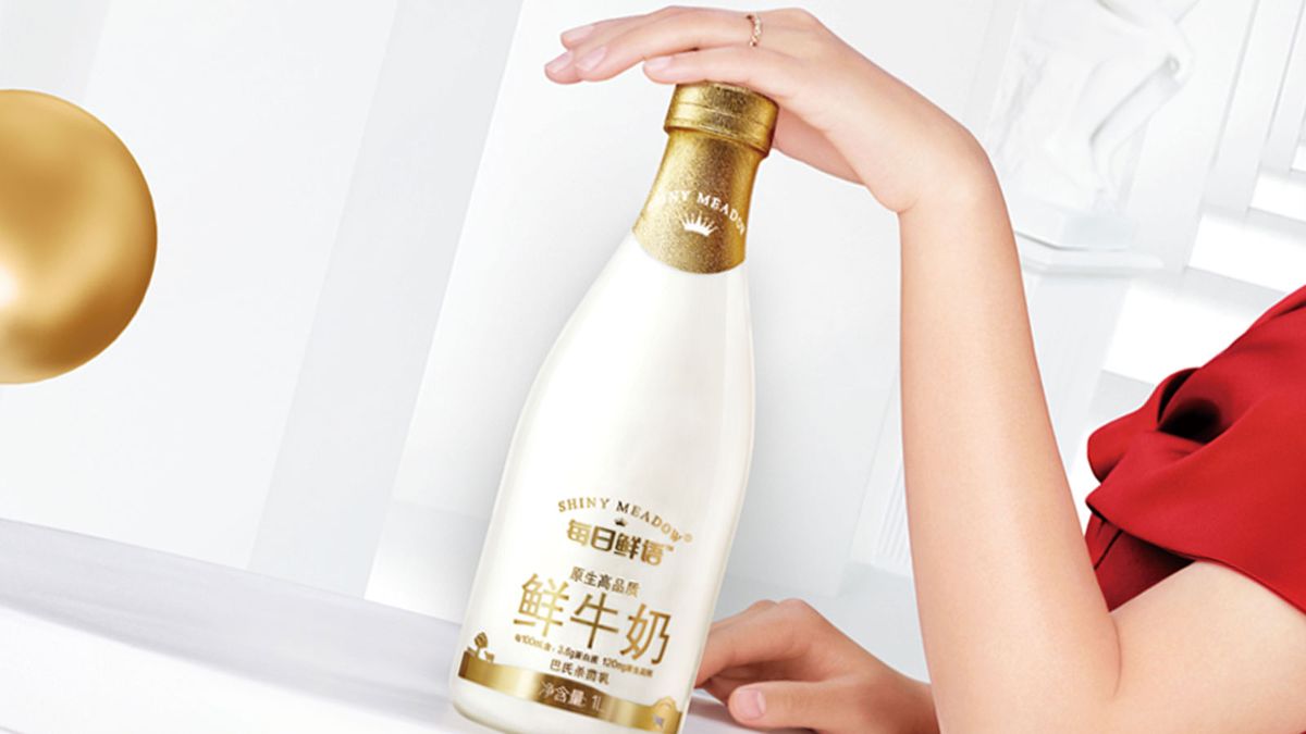 港股推薦｜蒙牛乳業盈利能力望持續改善！目標價32元投資策略