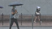 天文台颱風消息｜小犬周五闖香港400公里、周末可能再有暴雨？另一颱風布拉萬下周報到