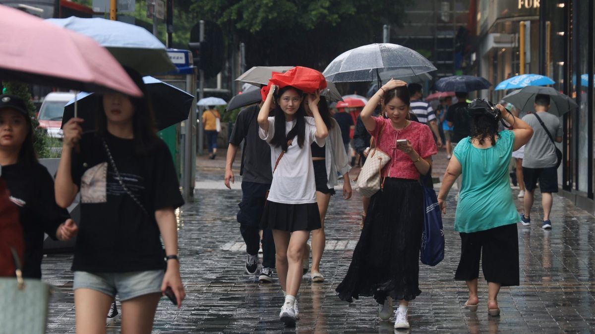 天文台颱風消息｜1號風球正在懸掛！小犬路徑變化預測：改掛更高風球的5個關鍵