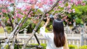 日元兌港元曾見5.15算！專家薦準遊日唱錢方法：跟定期存款有關？2款日元定期最高6.9厘