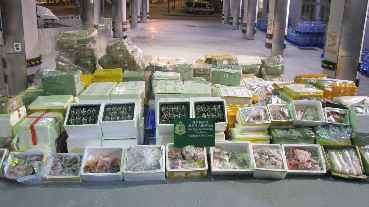香港海關檢獲懷疑走私大閘蟹、肉類及家禽：估計市值約52萬元