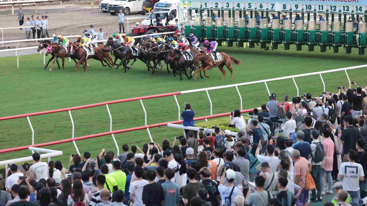 最新交通消息｜星期三賽馬日跑馬地封路改道特別交通措施