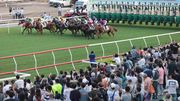 最新交通消息｜星期三賽馬日跑馬地封路改道特別交通措施