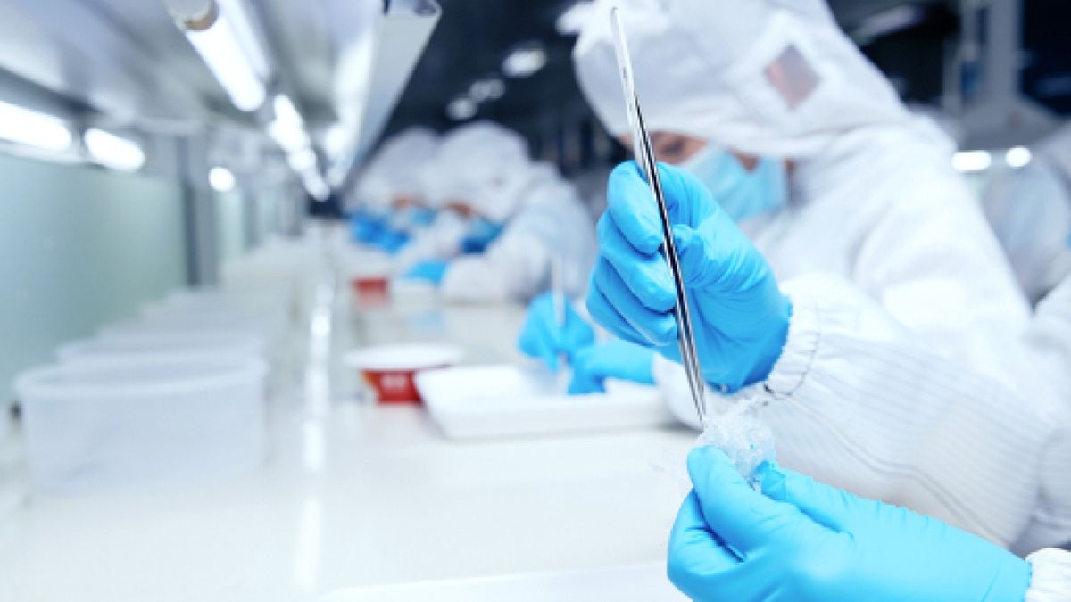 新股IPO｜燕之屋招股每手約4444元、2大分析：產品力＋財務表現：解構燕窩企業值博率｜行家論市