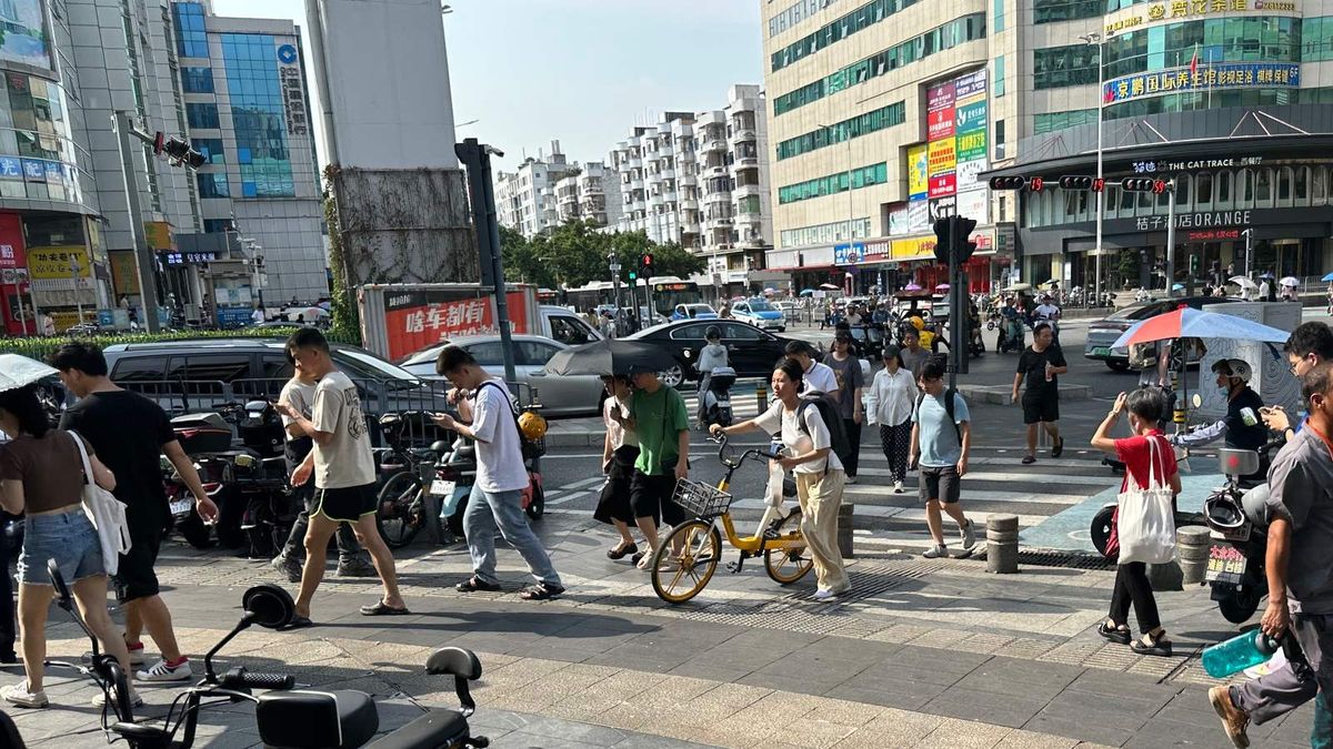 港車北上第十五輪電腦抽籤遞交申請：12月4至7日接受登記｜附登記連結