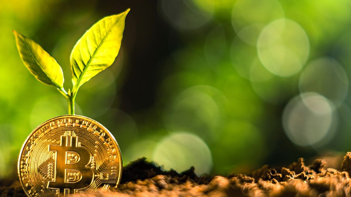 加密貨幣2023｜比特幣突破40,000美元、渣打料明年底達10萬美元！港人想買又怕風險點算好？Bitcoin vs Bitcoin ETF