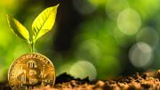加密貨幣2023｜比特幣突破40,000美元、渣打料明年底達10萬美元！港人想買又怕風險點算好？Bitcoin vs Bitcoin ETF