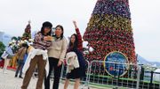 港元定期最高5.3厘VS美元定期息王5.5厘！入場賺息逾1萬港元！8款優惠大比併