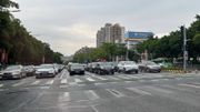 運輸署：港車北上第59輪電腦抽籤8月25日至28日登記｜附連結