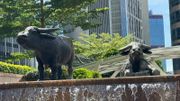 財政預算案2024｜香港股票分析師協會提9項建議：加快發展比特幣現貨ETF、加快推出穩定幣等