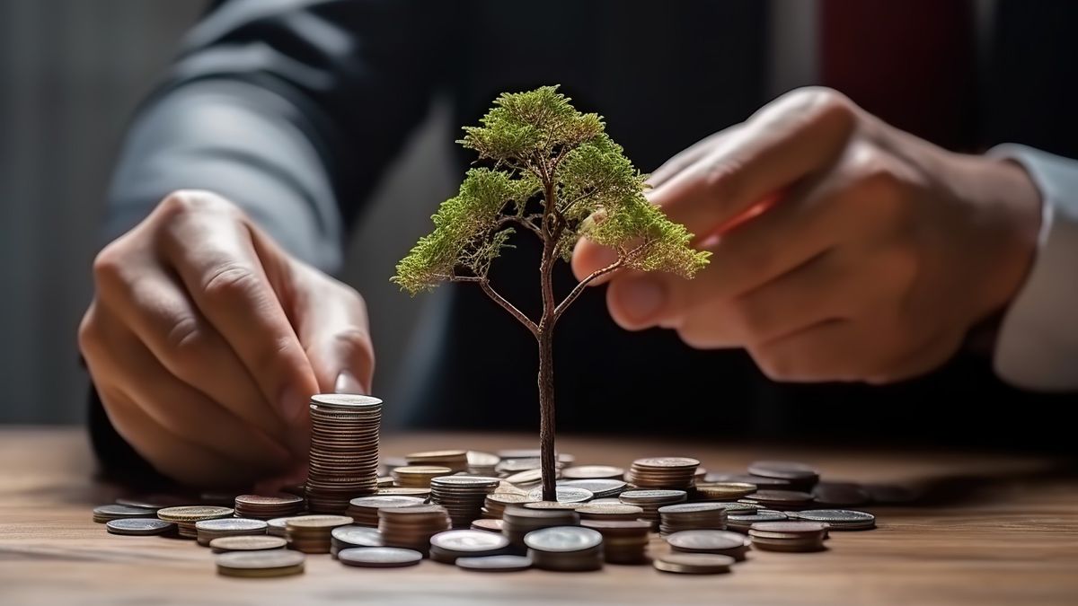 理財方法｜金桶理財法：2個投資工具並行、種下自己的搖錢樹！