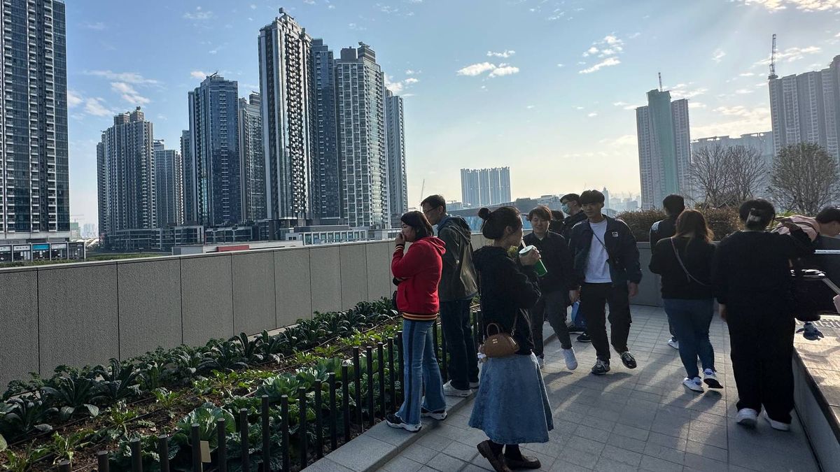 布少明：輸入人才計劃刺激豪宅租買！料第4季樓價平穩甚至反彈