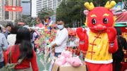 年宵市場2024｜全港15個年宵市場開鑼！食環署以紅黃綠燈顯示人流｜時間地點+入場須知