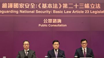 第二十三條, 立法, 國安