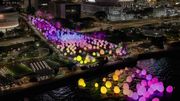 藝術@維港2024免費睇｜4個展覽毋須預先登記！添馬公園睇teamLab光漣要Klook預約入場