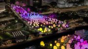 香港好去處｜康文署「teamLab：光漣」展覽預約入場＋6個須知