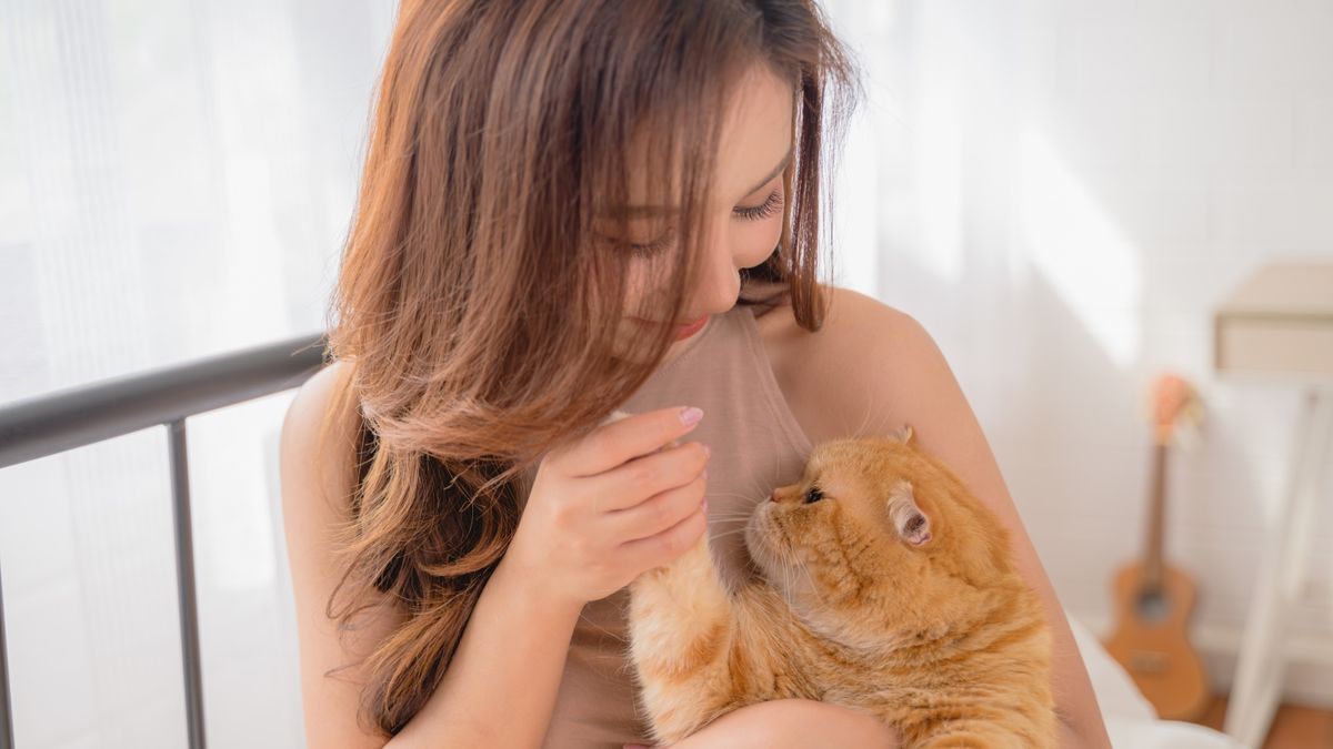 保險索償真實個案｜為愛貓買寵物保險：女子一個失誤、不獲賠3,500元診金！