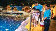 海洋公園事業探索之旅2024｜招募逾770個全職兼職！申請方法