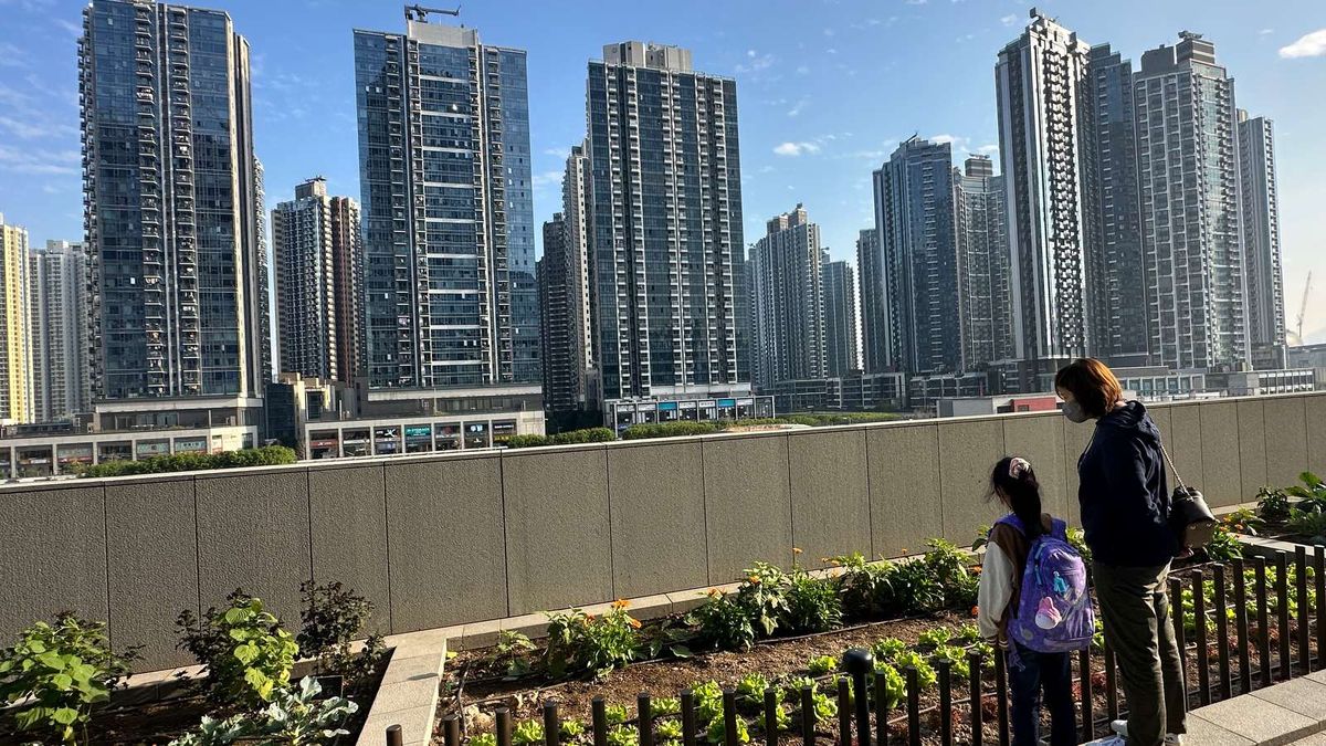 内地專才「即睇即租」啟德一號2房戶！月租2.5萬元高市價約5%