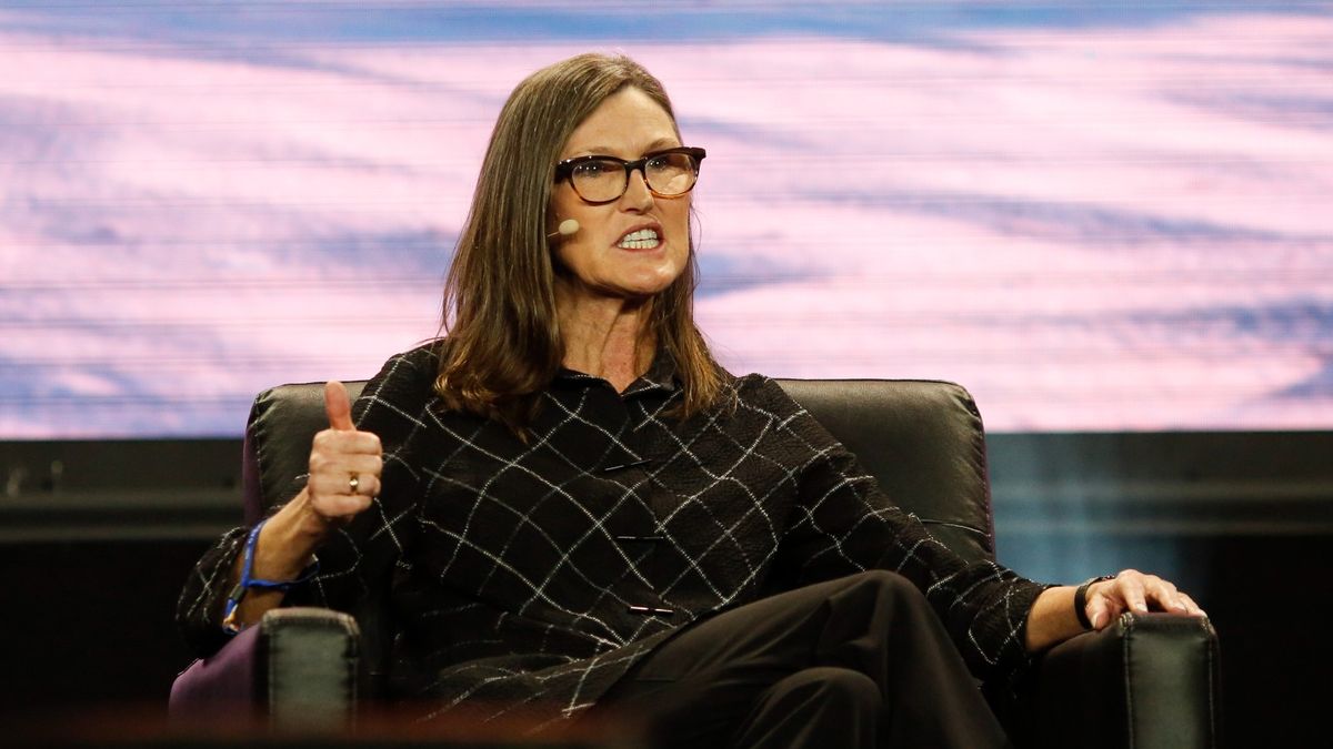 美股入門｜Nvidia竟遭看淡？女股神Cathie Wood售逾2,000股NVDA：背後一個因素｜擬反看好呢隻電動車股