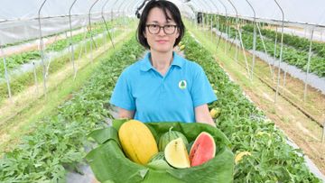漁護署, 2024本地有機西瓜節, hkbt, 香港財經時報