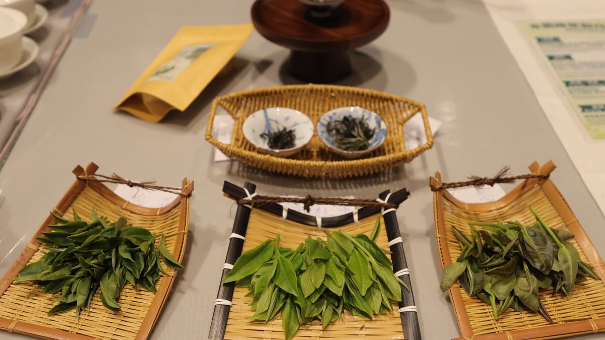 第15屆香港國際茶展同樣於首兩天向業內買家開放，最後一天 (8月17日) 歡迎公眾及貿易買家參與。