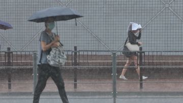 天文台, 颱風, 料今年仍有3至5個, 進入香港範圍, 開學天氣預測, hkbt, 香港財經時報