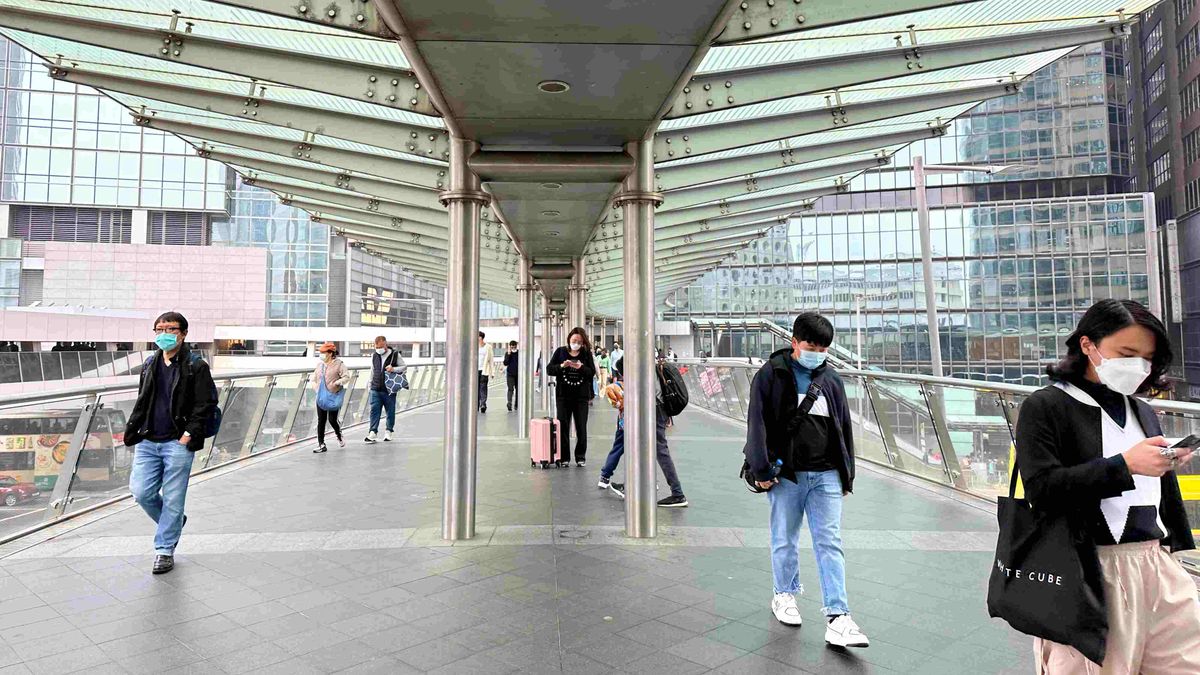 調查：逾6成企業不採納人才入境計劃！大部分公司指本地招聘更直接