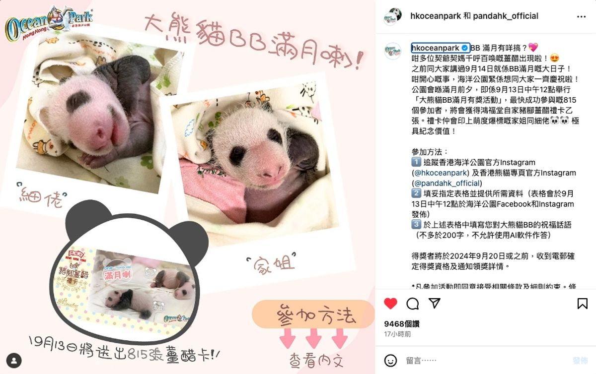 海洋公園港產雙胞胎大熊貓滿月在即, 派815張薑醋卡慶祝, 參加方法, 香港財經時報