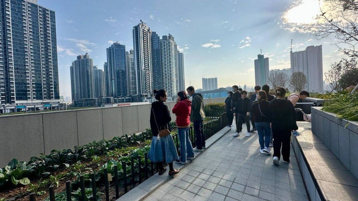 第三季最多內地客入市新盤曝光！首10個屋苑有6個佔比五成以上