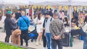 11月16-17日市集策劃公司場勝將軍將會於南豐紗廠舉辦《忍「毛」可忍國際包容市集》。