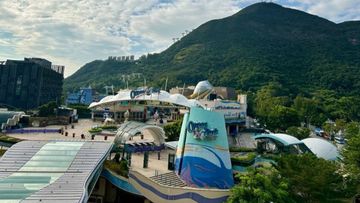黑雨至少維持至上午11時！海洋公園：除下後兩小時重新開放、香港迪士尼：惡劣天氣如常開放, 香港財經時報