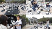 PANDA GO香港遊@昂坪360！700隻熊貓雕塑登場！五大打卡點