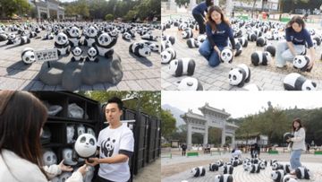 PANDA GO!香港遊@昂坪360, 熊貓, hkbt, 香港財經時報