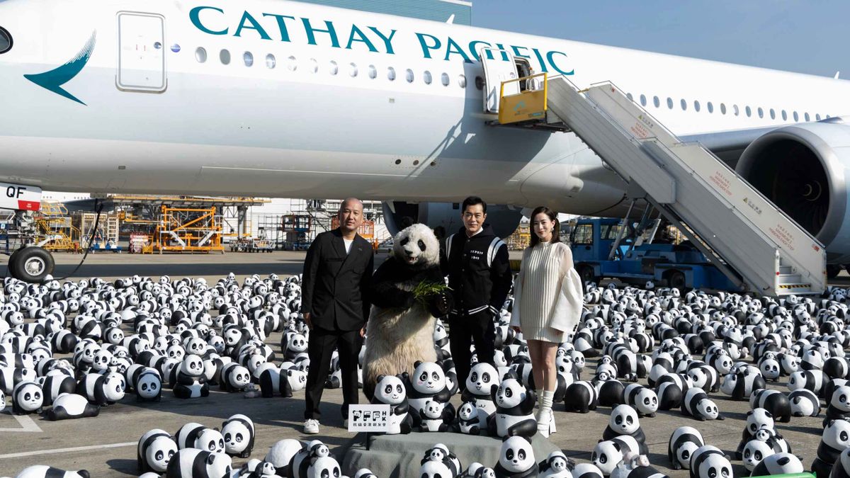 大型熊貓展覽panda go香港遊, 2500隻大熊貓雕塑四場公眾展覽詳情, 香港財經時報