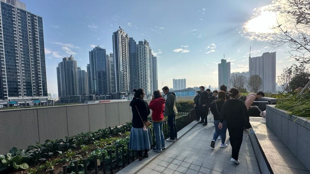 內地客, 香港樓市, hkbt, 香港財經時報