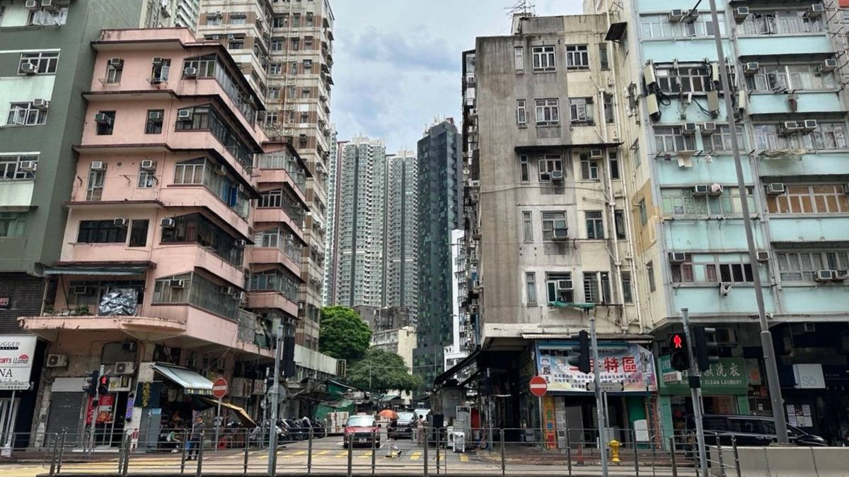 滅鼠約章是甚麼？參與要做甚麼？食環署為住宅處所推滅鼠約章