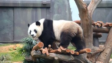 著數優惠, 憑香港海洋公園即日或翌日門票免費領取美食現金券, 香港財經時報